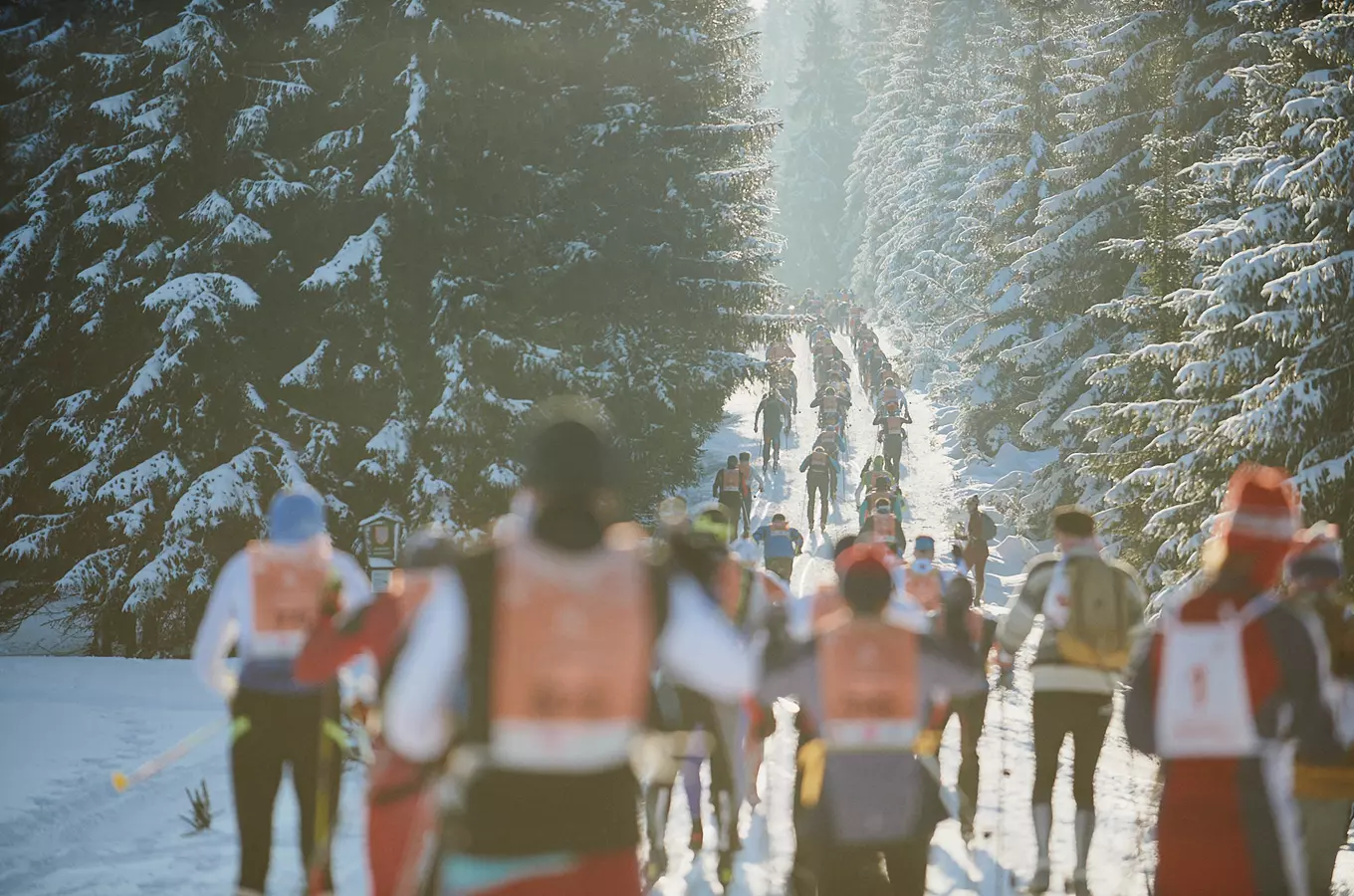 Závod ČEZ Jizerská 50 – 50 km klasicky