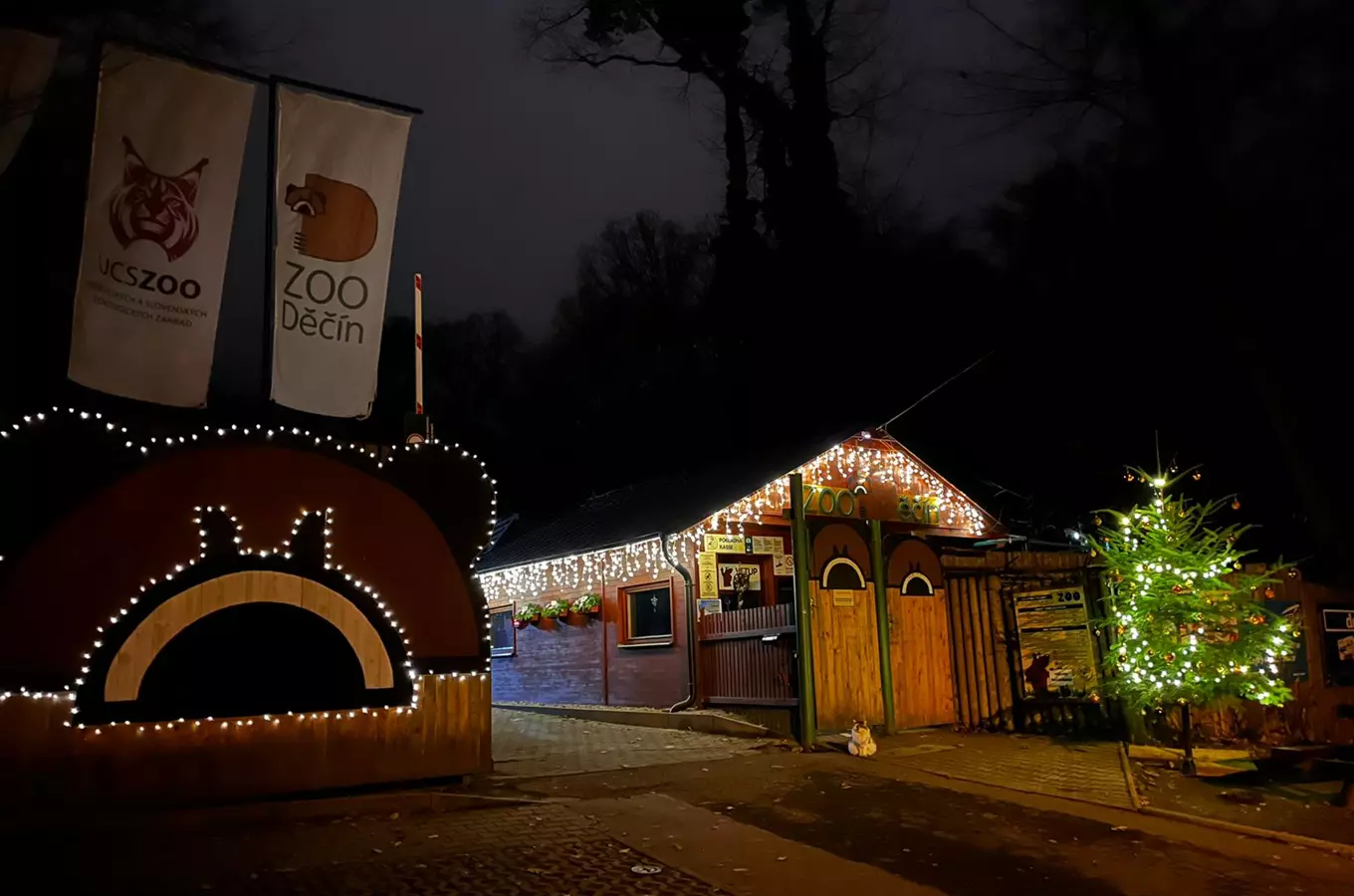 Na Štědrý den do Zoo Děčín – Čekání na Ježíška