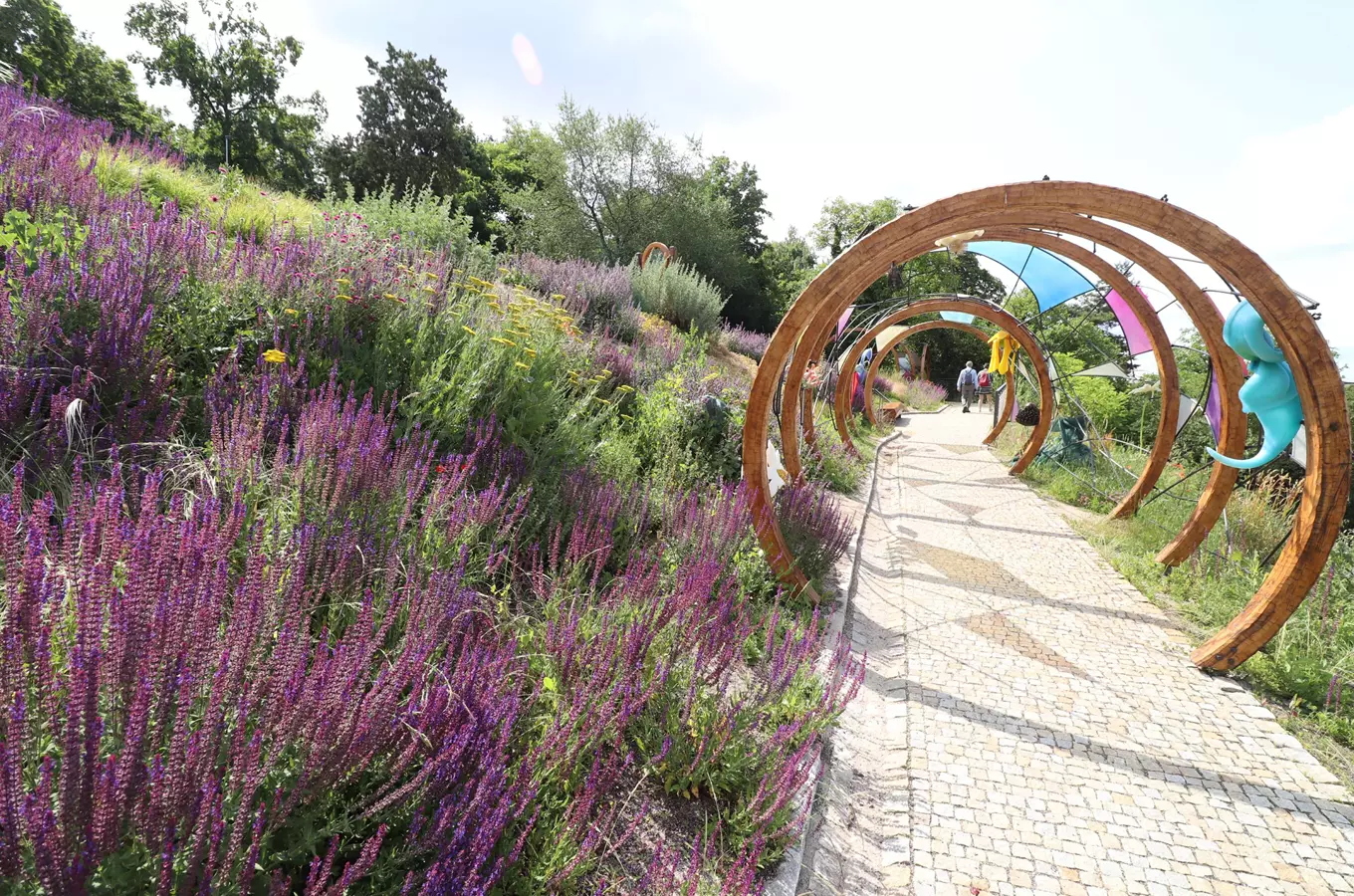 Rostlinná odysea – Letní výstava v Botanické zahradě Praha