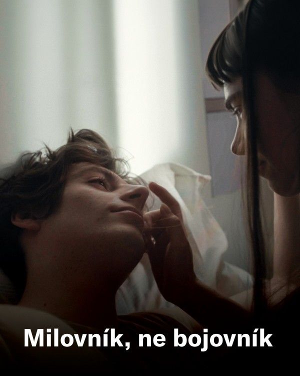 Milovník, ne bojovník - Tady Vary