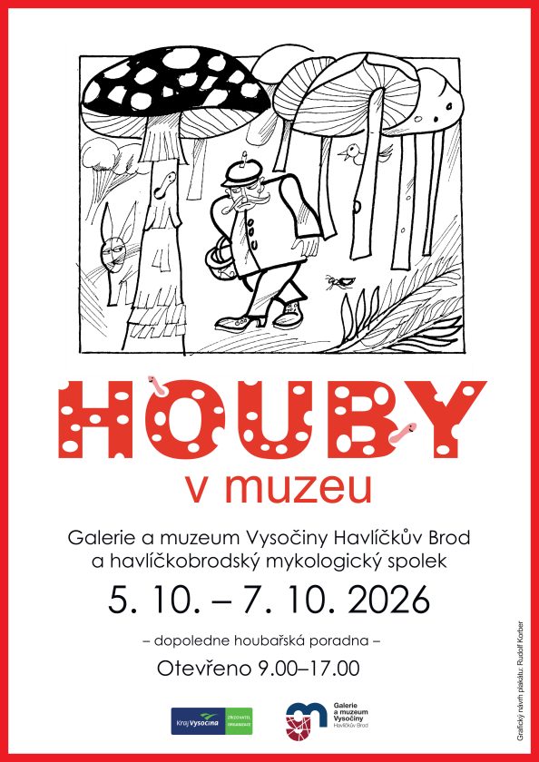 Houby v muzeu