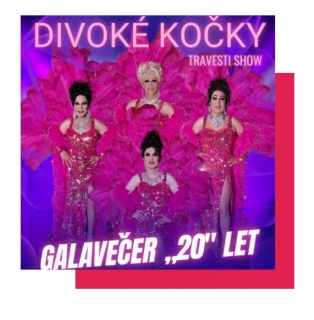 Divoké kočky GALAVEČER ,,20″ LET