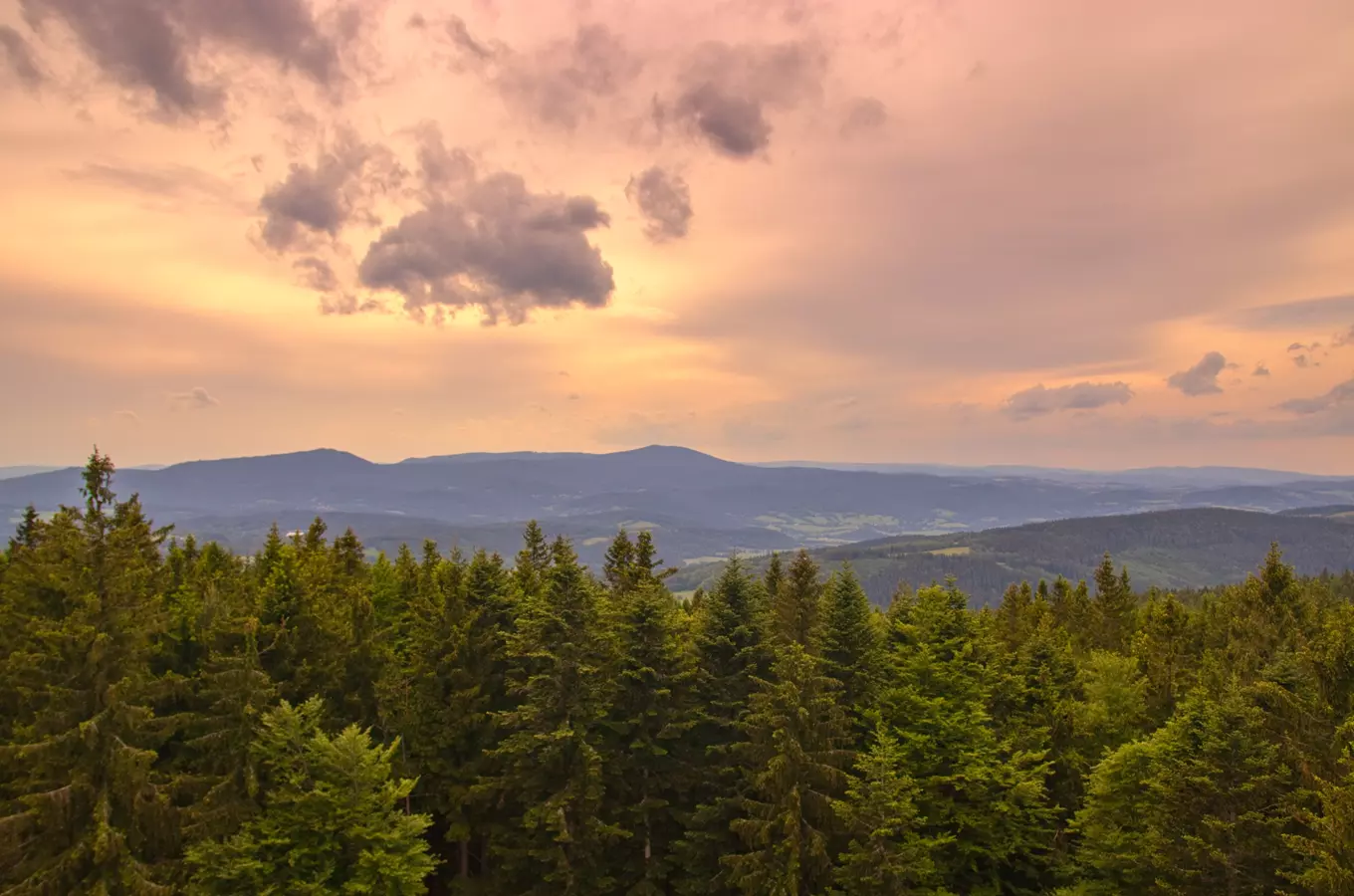 Den strážců přírody v Národním parku Šumava 2026