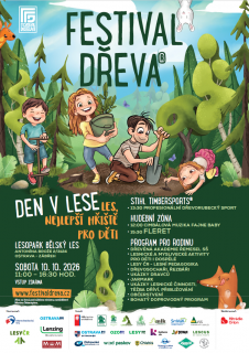 Festival dřeva