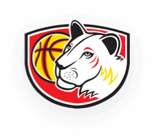 Basketbal | Sokol Hradec Králové - Levhartice Chomutov