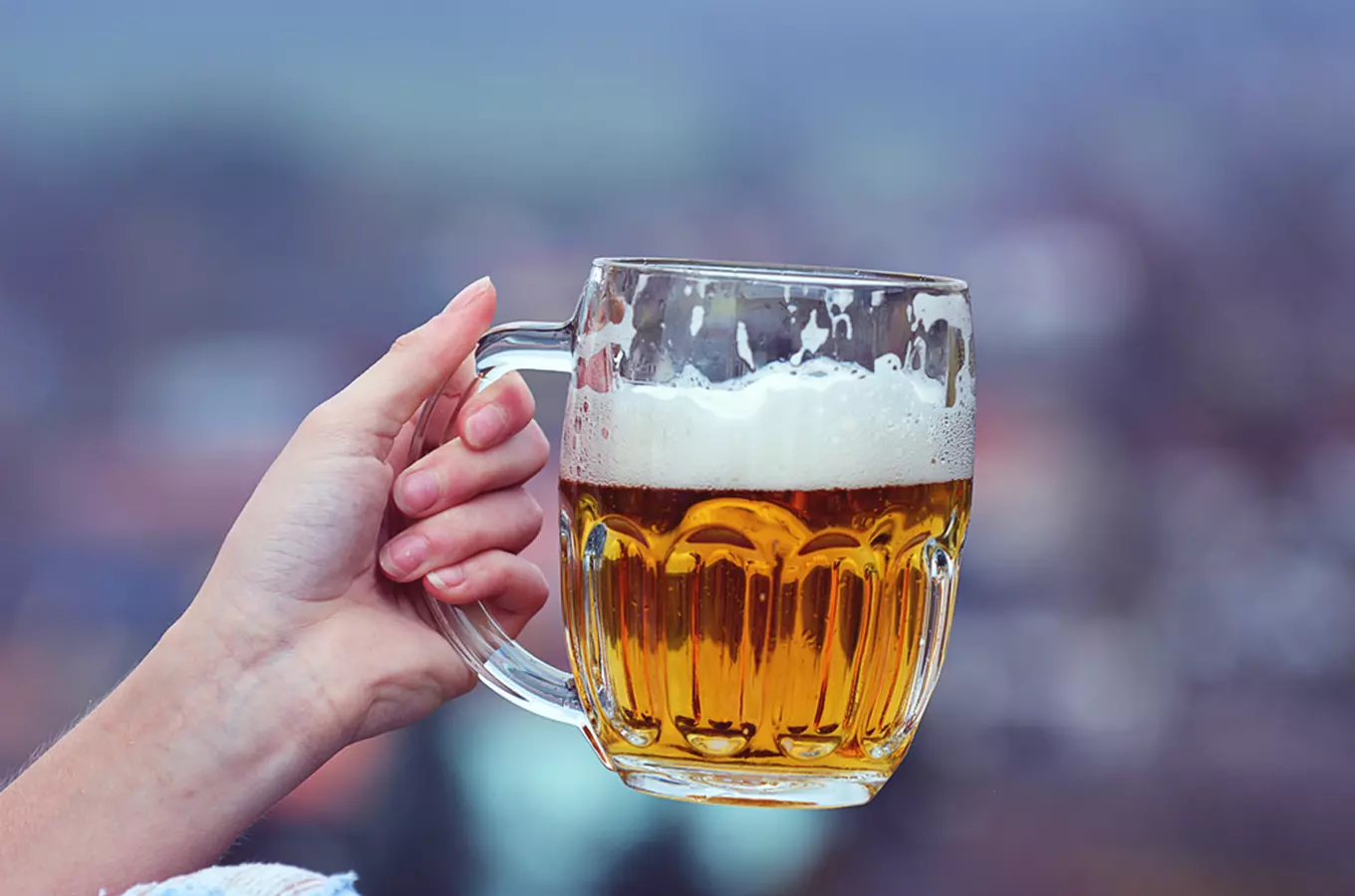 Zámecké pivní slavnosti v Nových Hradech 2027