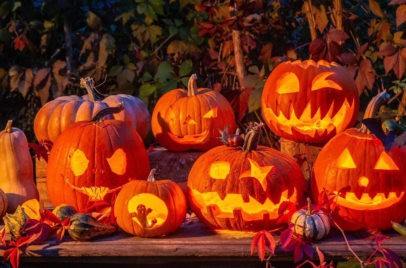 Halloween v Centru řemesel a zahradách Botanicus 2026