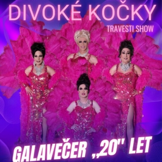 Travesti show Divoké kočky Galavečer "20" let