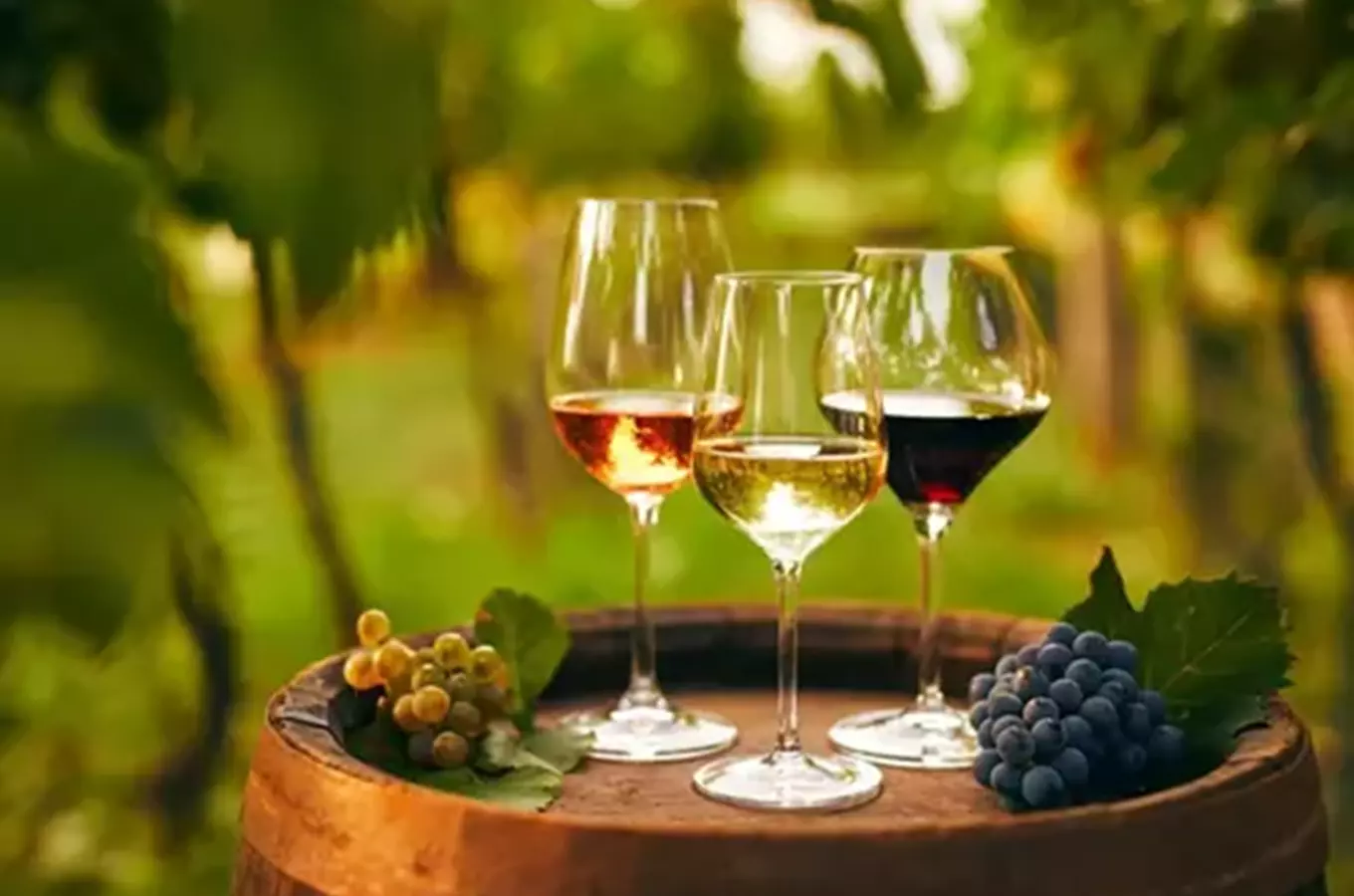 Winefood v Újezdu nad Lesy 2026