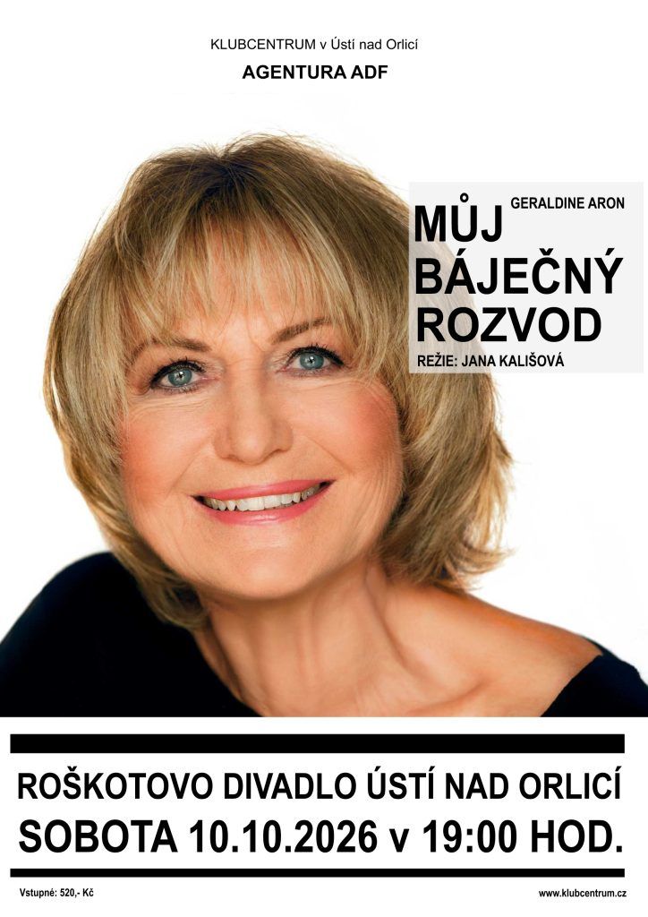 Můj báječný rozvod