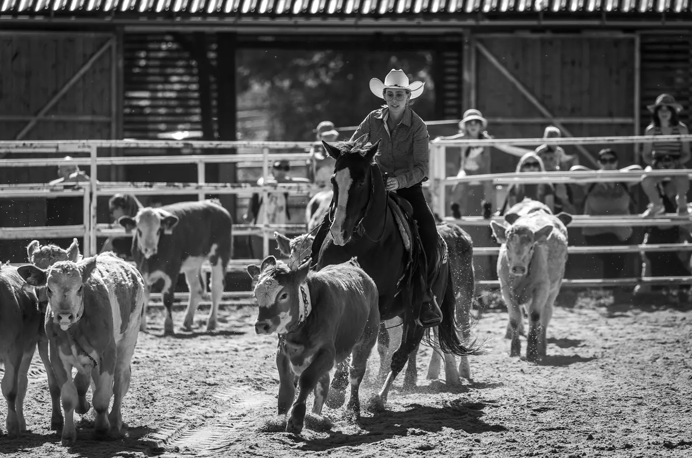Rodeo Corral 2026 – Finále Mistrovství ČR v dobytkářských disciplínách Hoslovice