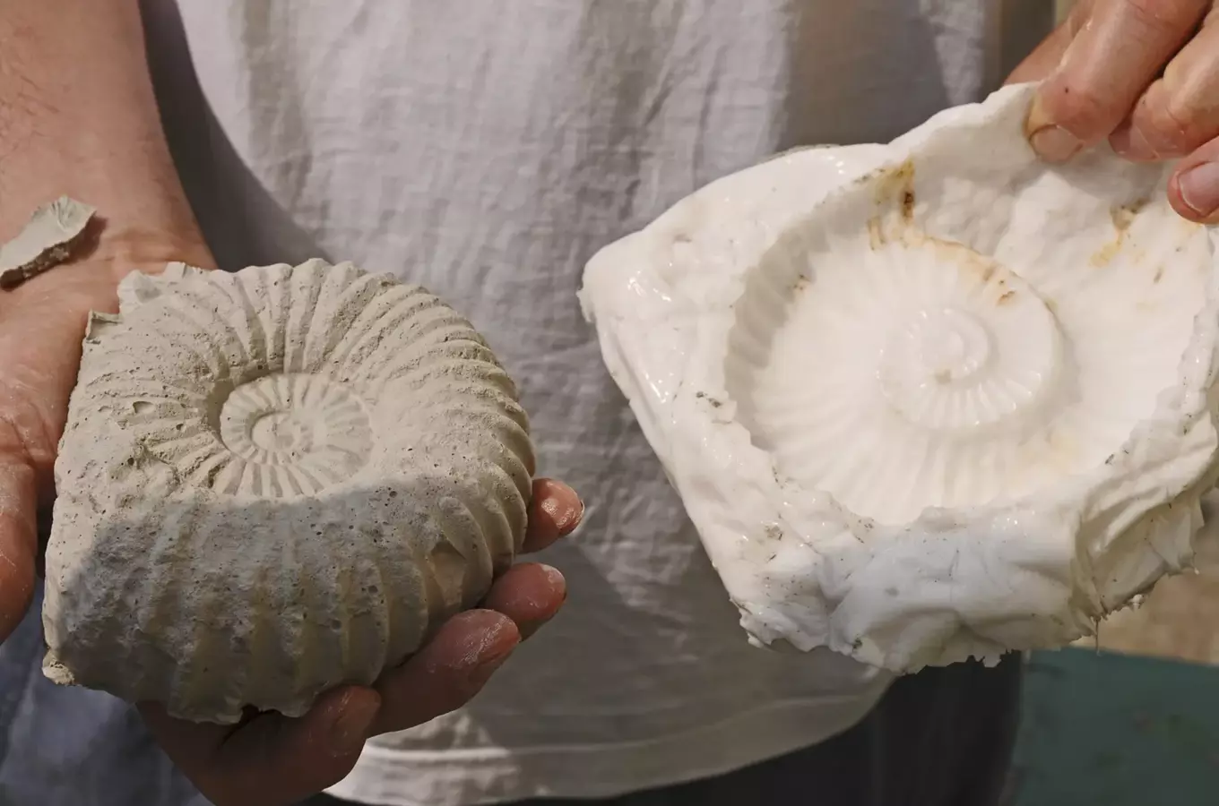 Za trilobity a dinosaury