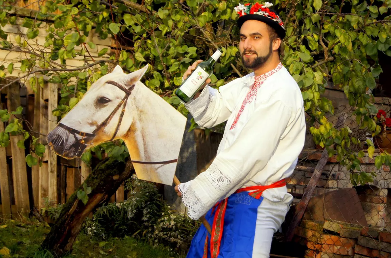 Festival vína – svatý Martin na Hovoransku 2026