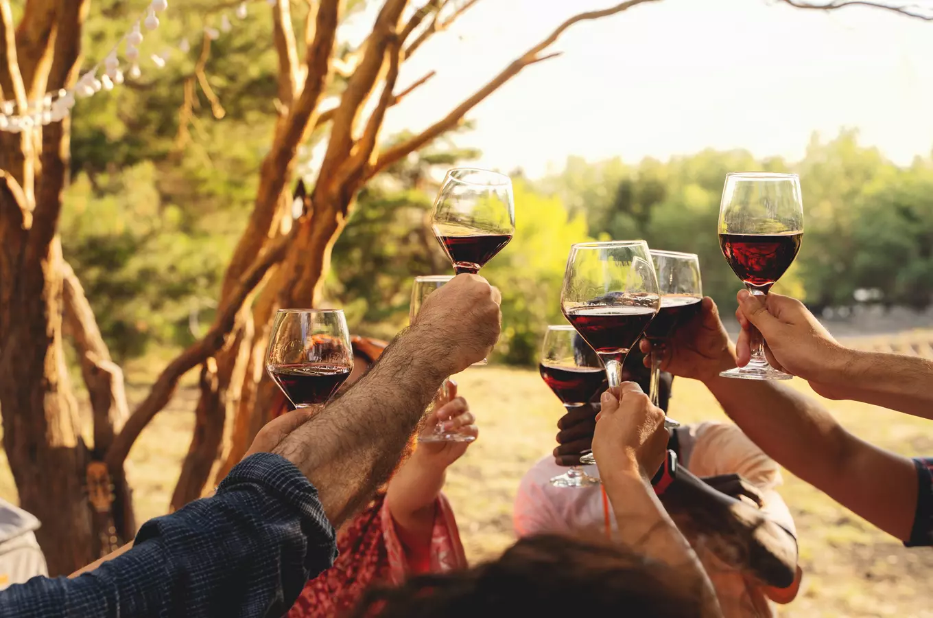 40. Přívratské vinobraní 2026