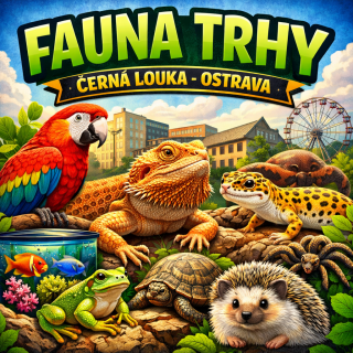 Fauna trhy