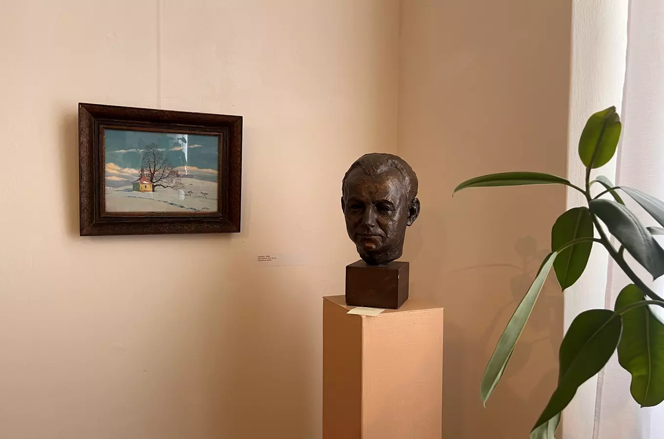 Filmový večer Orlické galerie