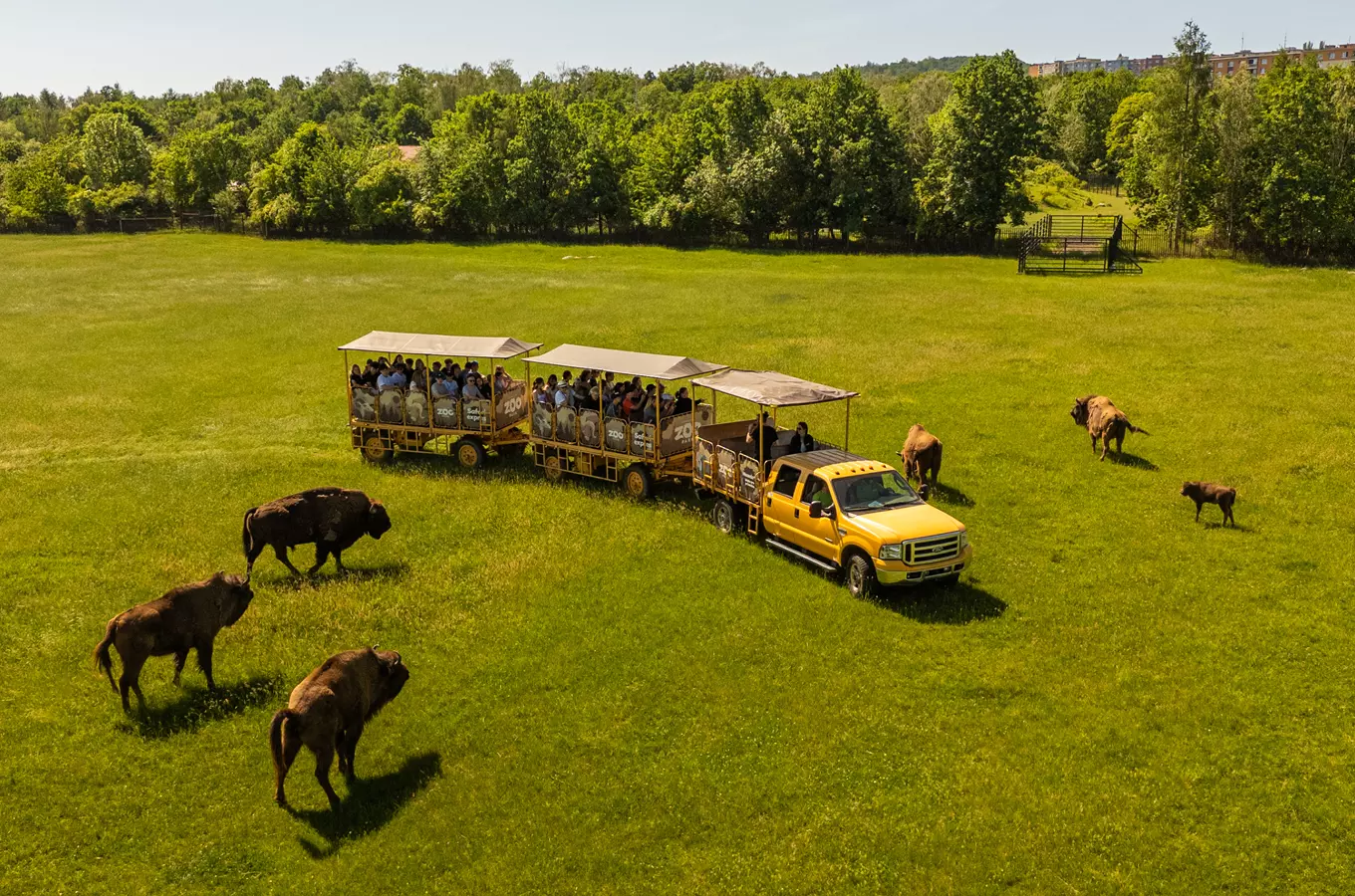 Den zvířat v Zooparku Chomutov 2026