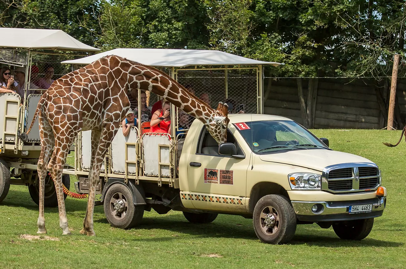 Afrika truck v Safari Parku Dvůr Králové – Africké safari Josefa Vágnera