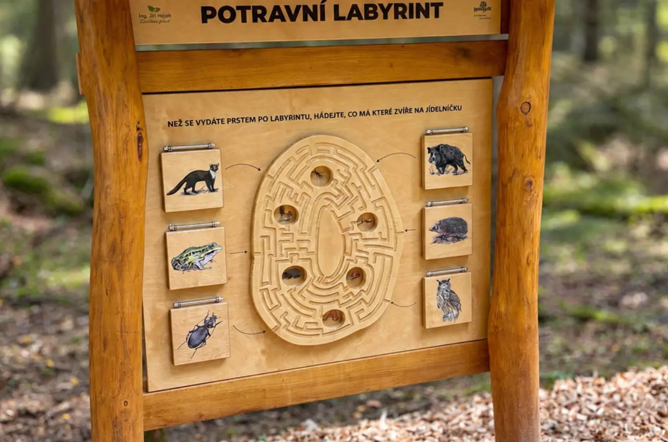 Slavnostní otevření Lesní stezky Nová Bystřice