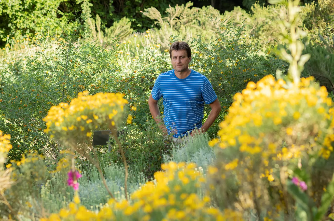 Prohlídky Botanické zahrady Praha s kurátory – Kurátorské provázení
