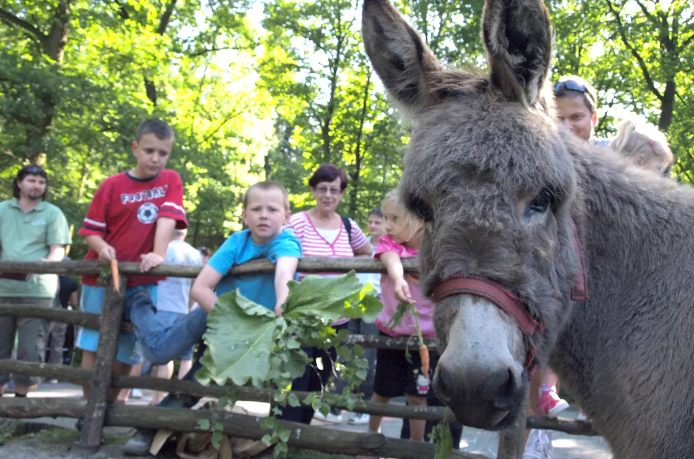 Komentovaná krmení v Zoo Děčín 2026