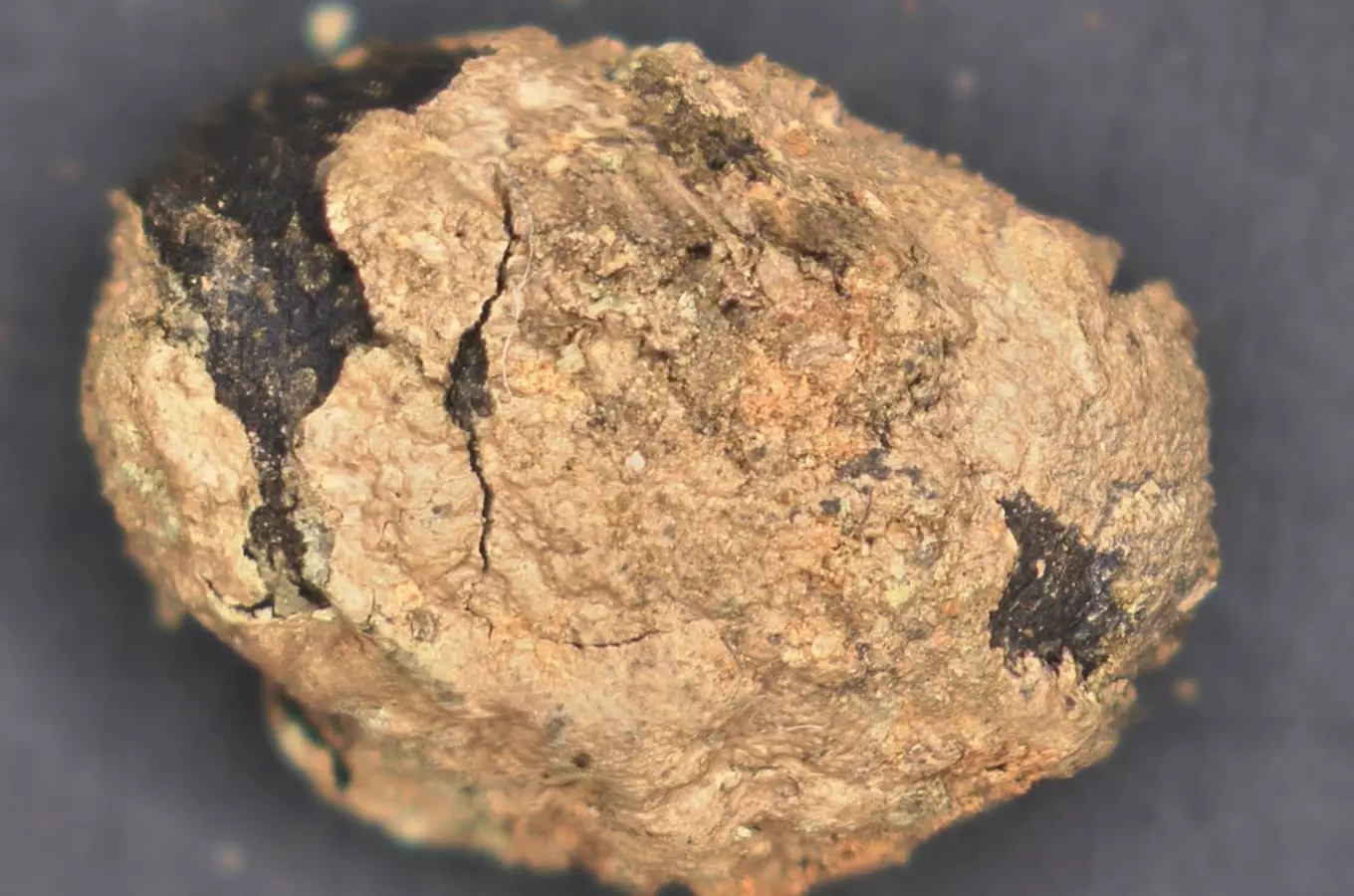 Den archeologie vArcheologickém centru Olomouc