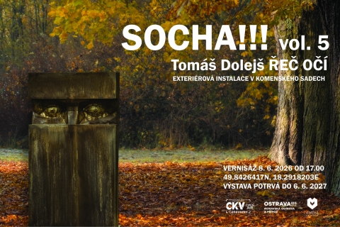Tomáš Dolejš - Řeč očí