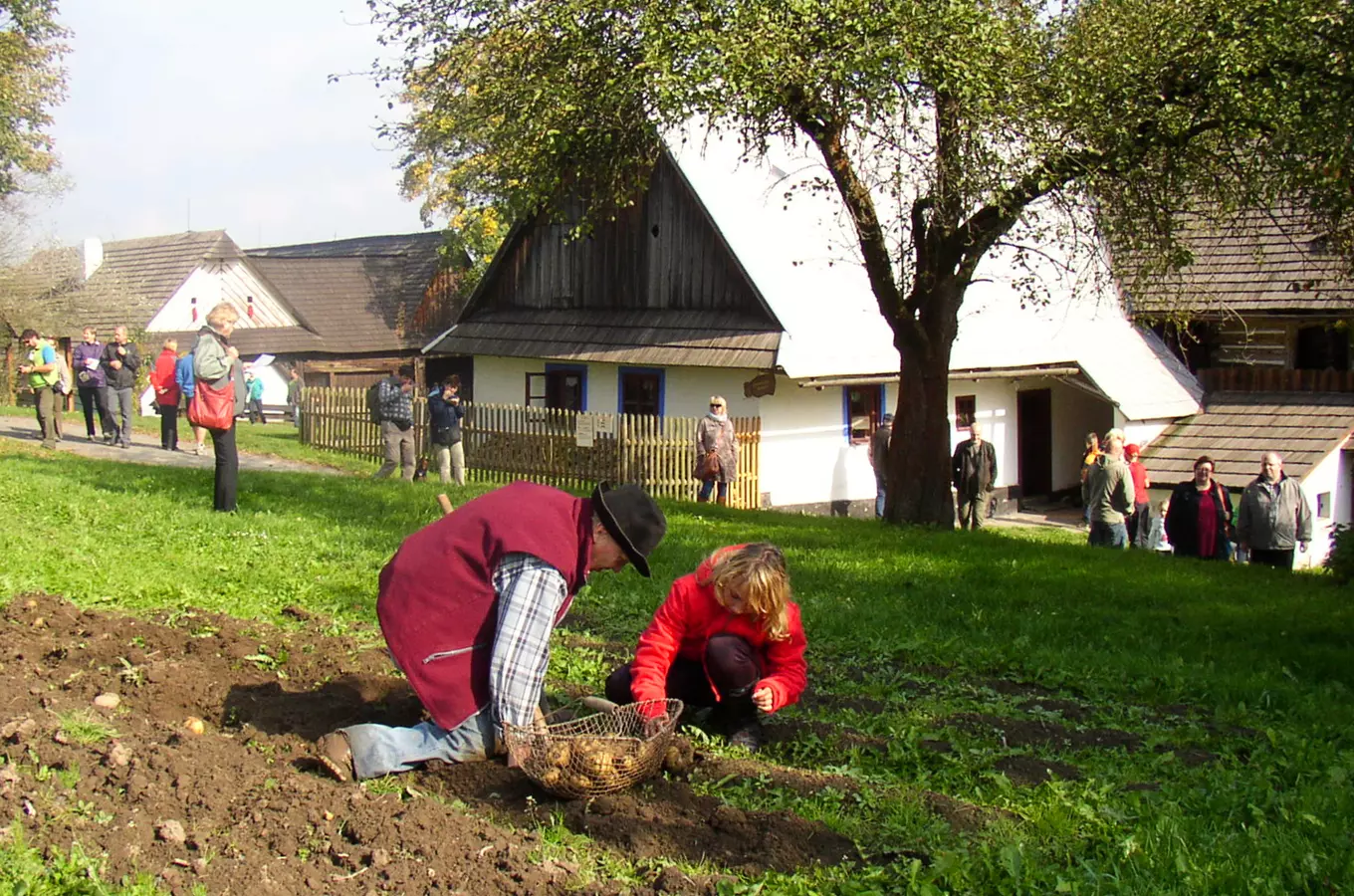 Bramborová sobota na Veselém Kopci 2026
