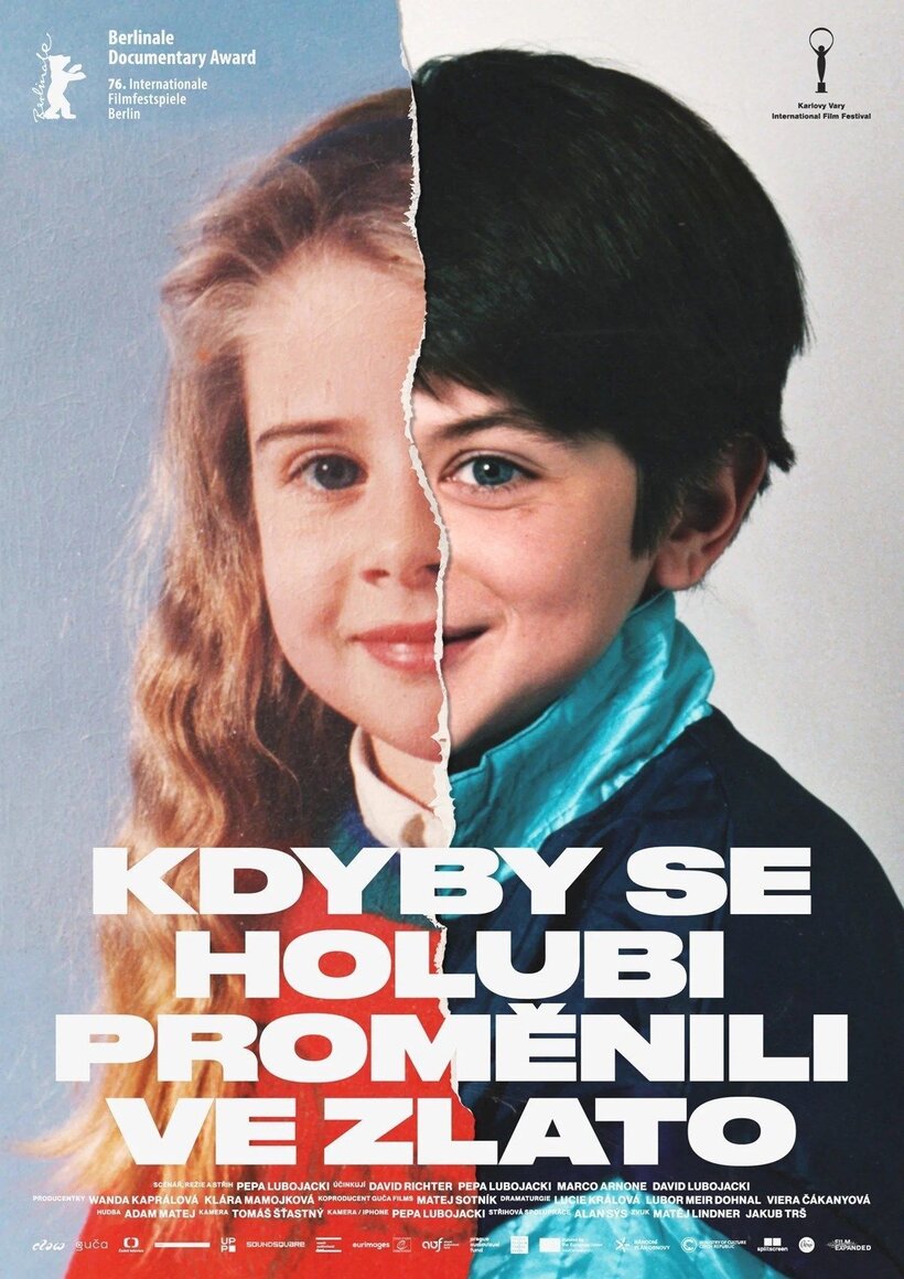 Kdyby se holubi proměnili ve zlato