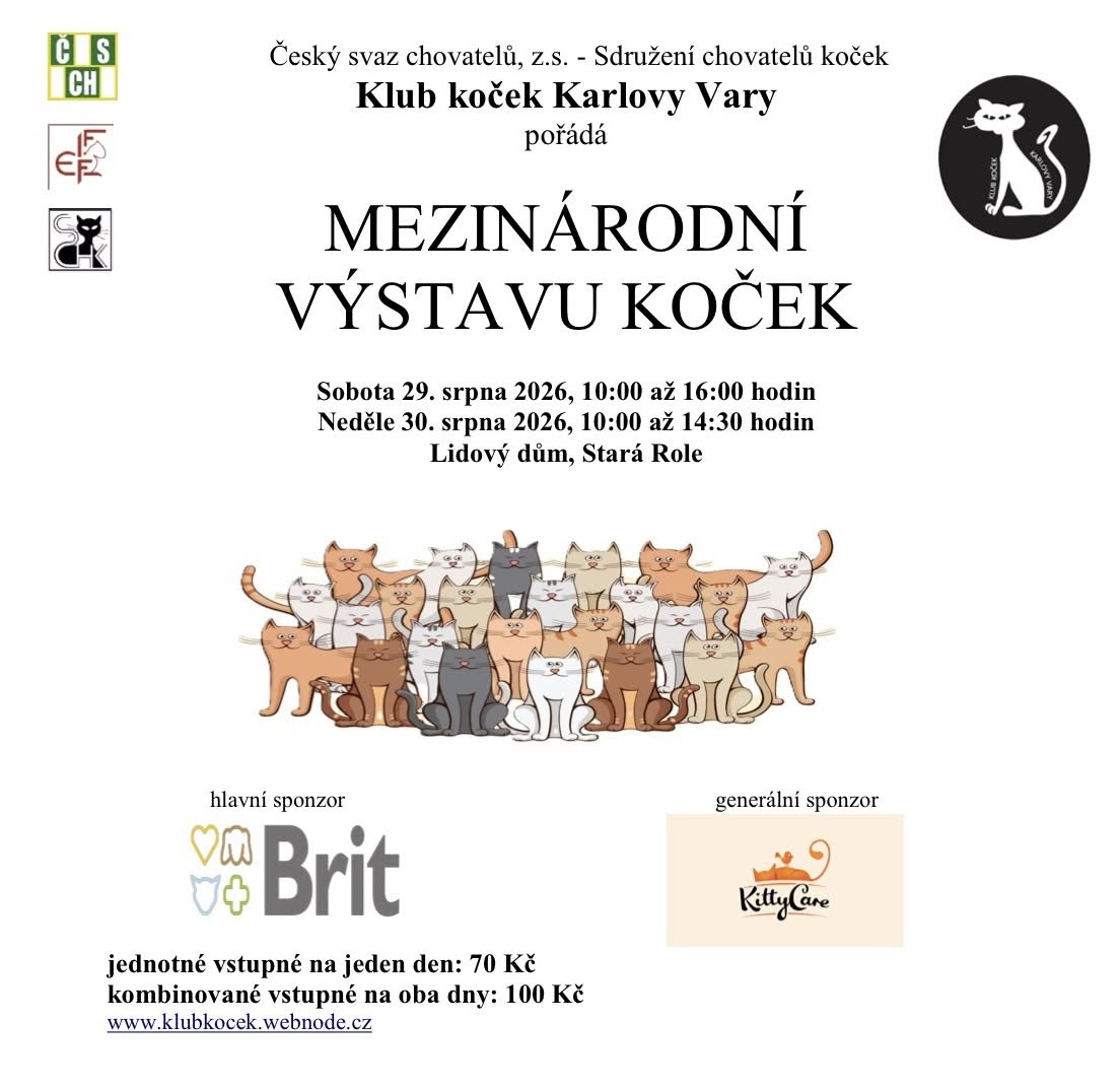 Mezinárodní výstava koček