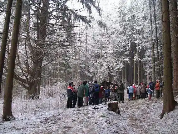 Nadílka u krále smrků