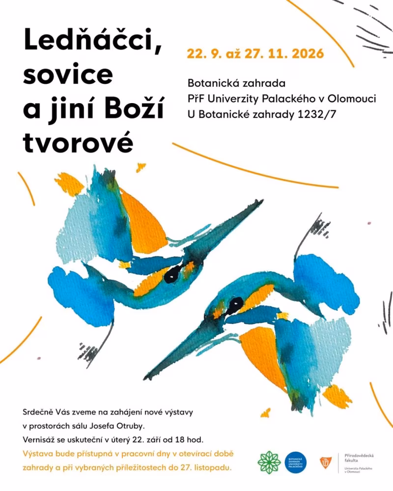 Ledňáčci, sovice a jiní Boží tvorové