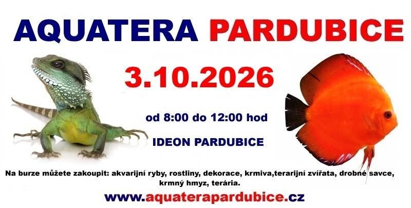 Aquatera Pardubice