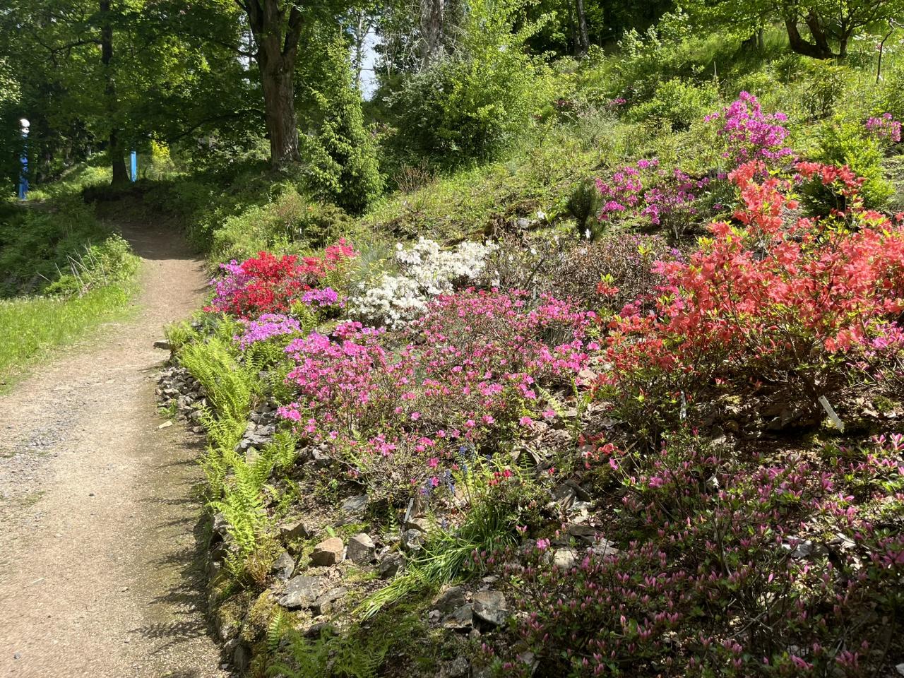 Mezinárodní den botanických zahrad 2026 v Bečovské botanické zahradě