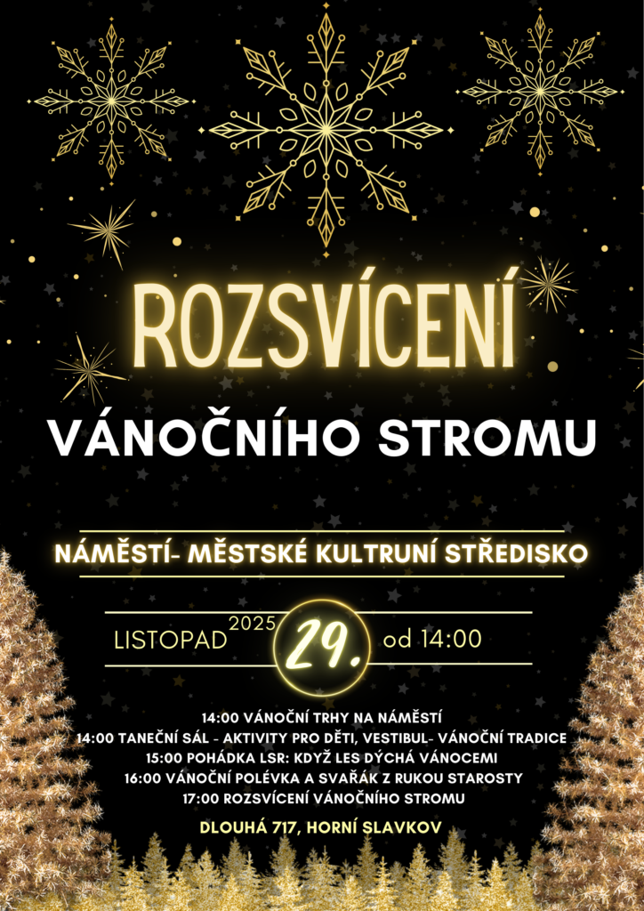 Rozsvícení Vánočního stromu