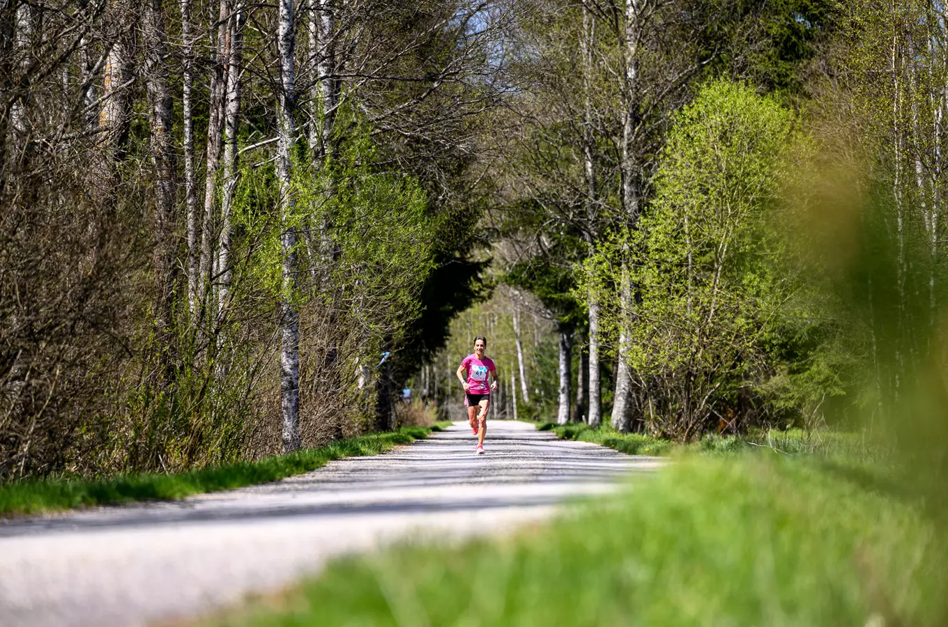 Vltava Run 2026
