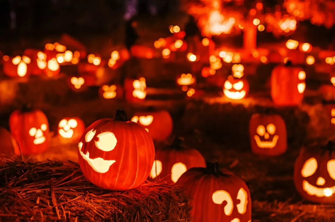 Halloween na hradě Šternberk