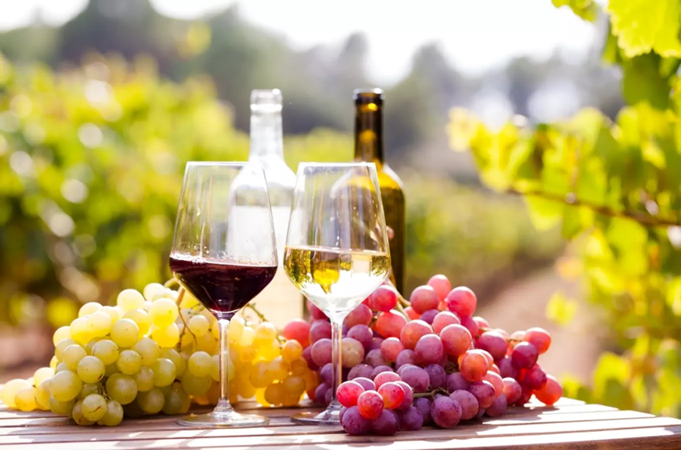 Zbraslavské vinobraní Elišky Přemyslovny 2026