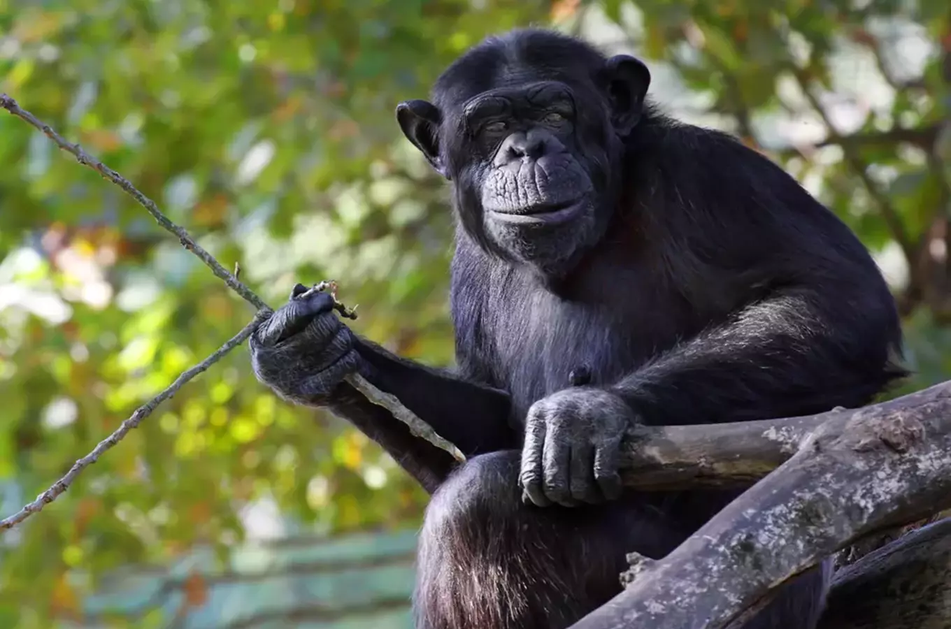 Zoo Plzeň slaví 100 let