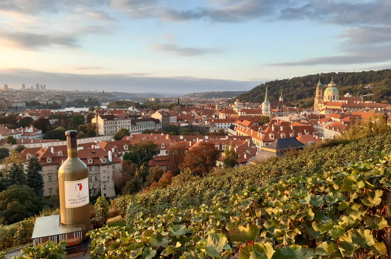 Svatováclavské vinobraní Villa Richter 2026