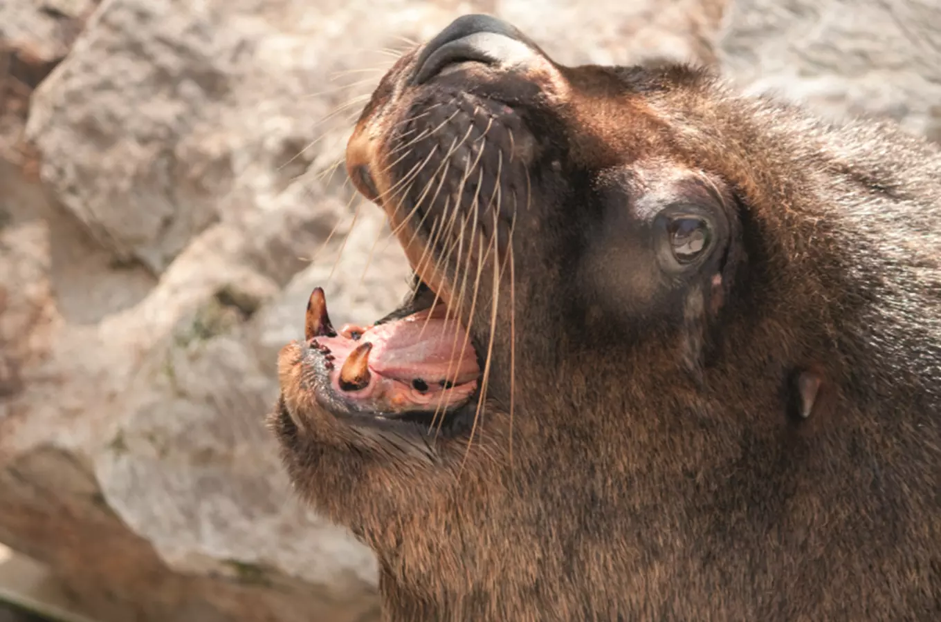 Den zvířat v Zoo Liberec 2026