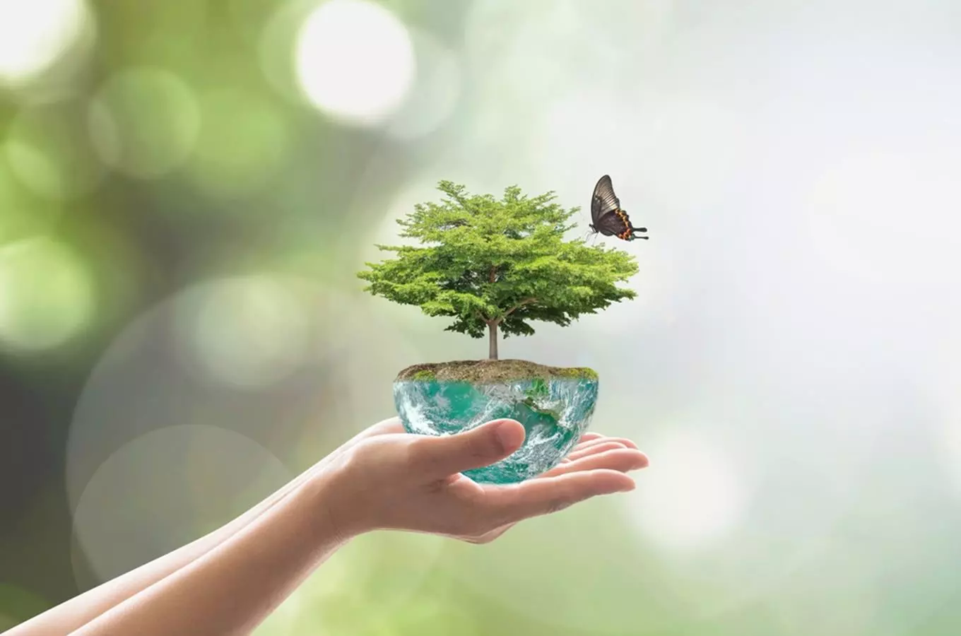 Austrálie aneb na skok k protinožcům