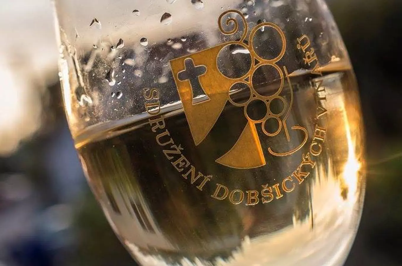 Dobšické vinobraní 2026