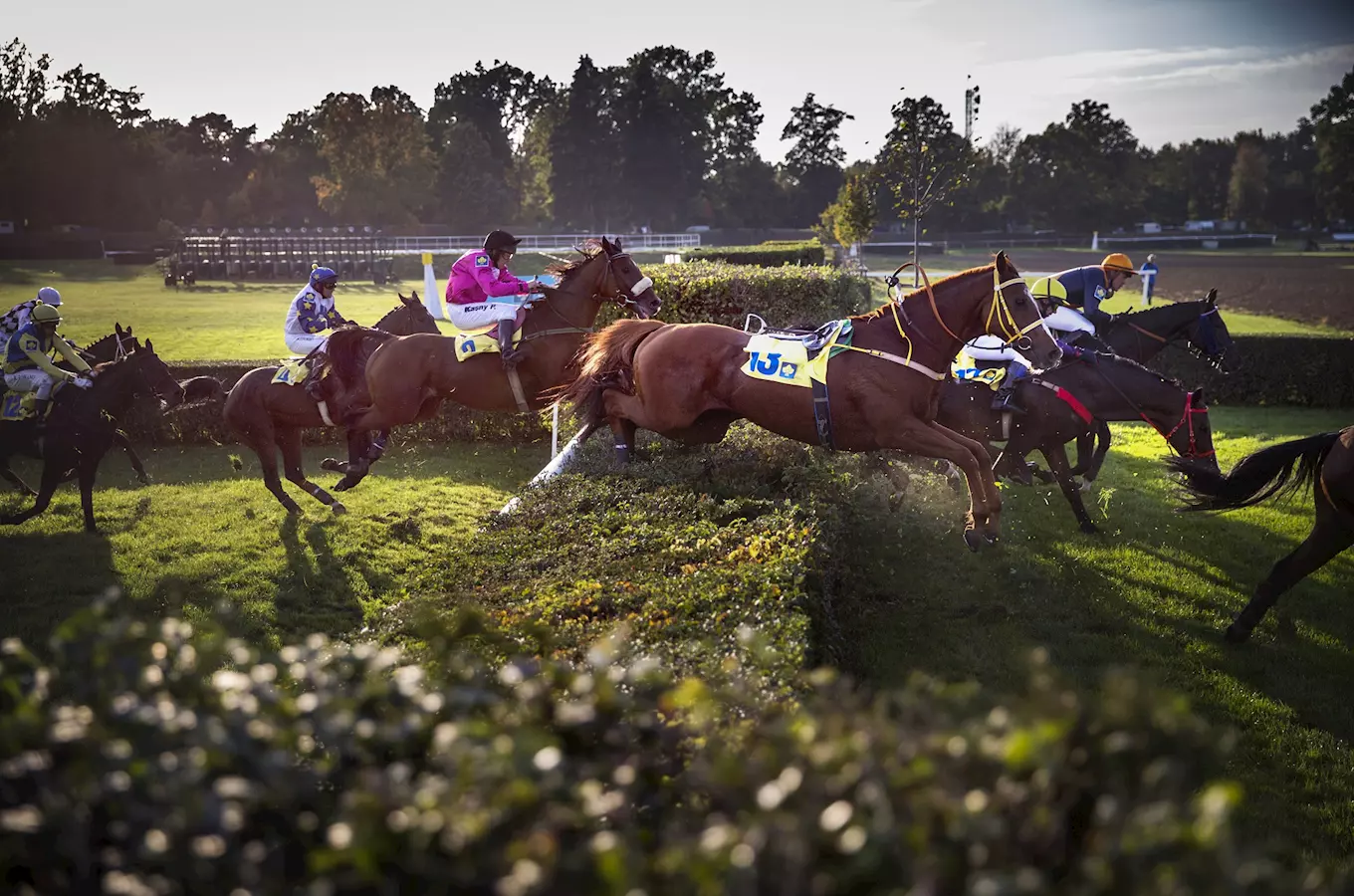 Velká pardubická 2026