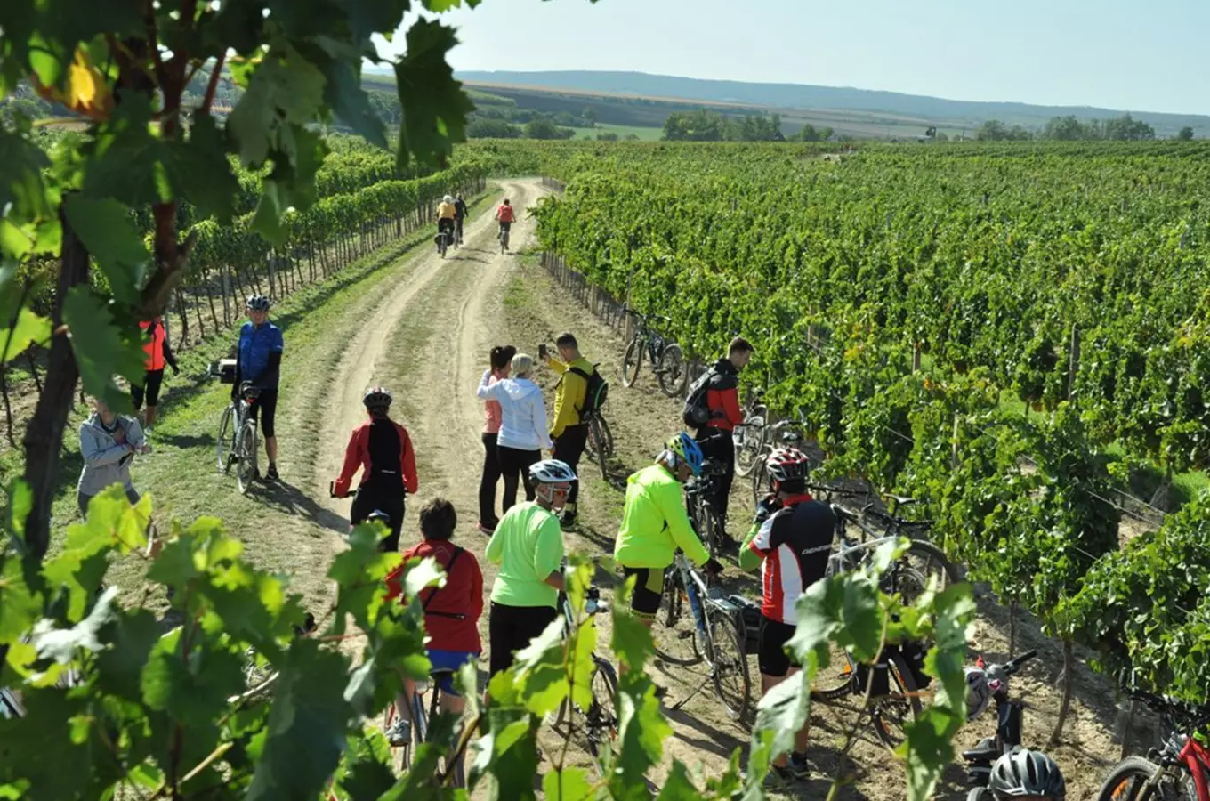 Krajem vína – Tour de burčák po vinařských stezkách Znojemska 2026