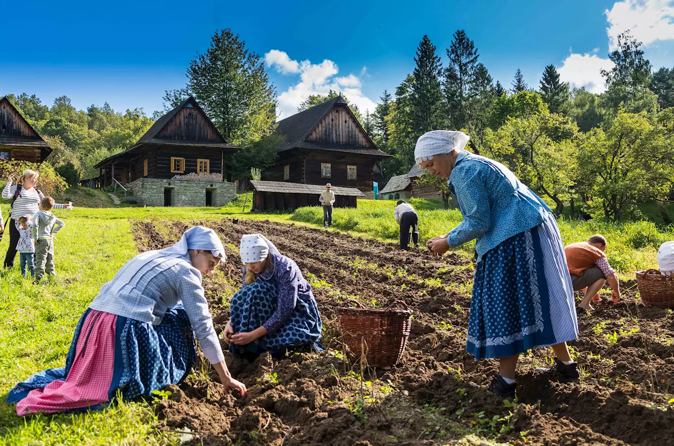 Podzim na poli a v chalupě 2026