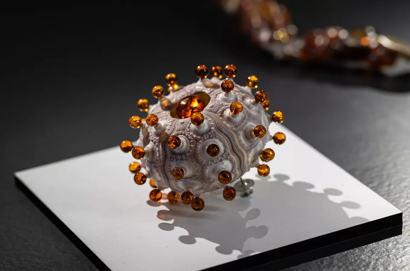 Výstava Jantar jinak – unexpected amber