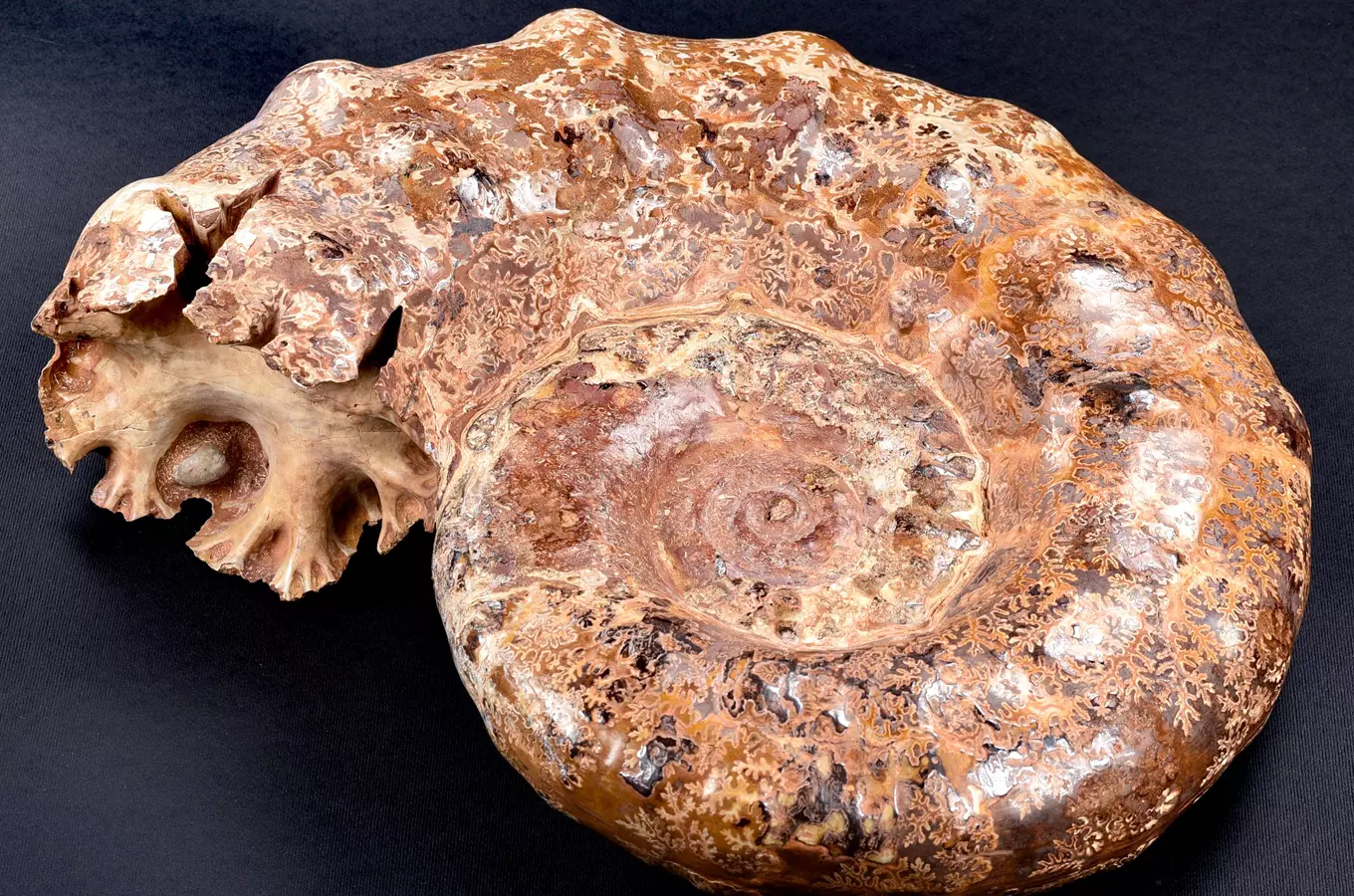 Stálá prodejní výstava – Dobrodružství mineralogie
