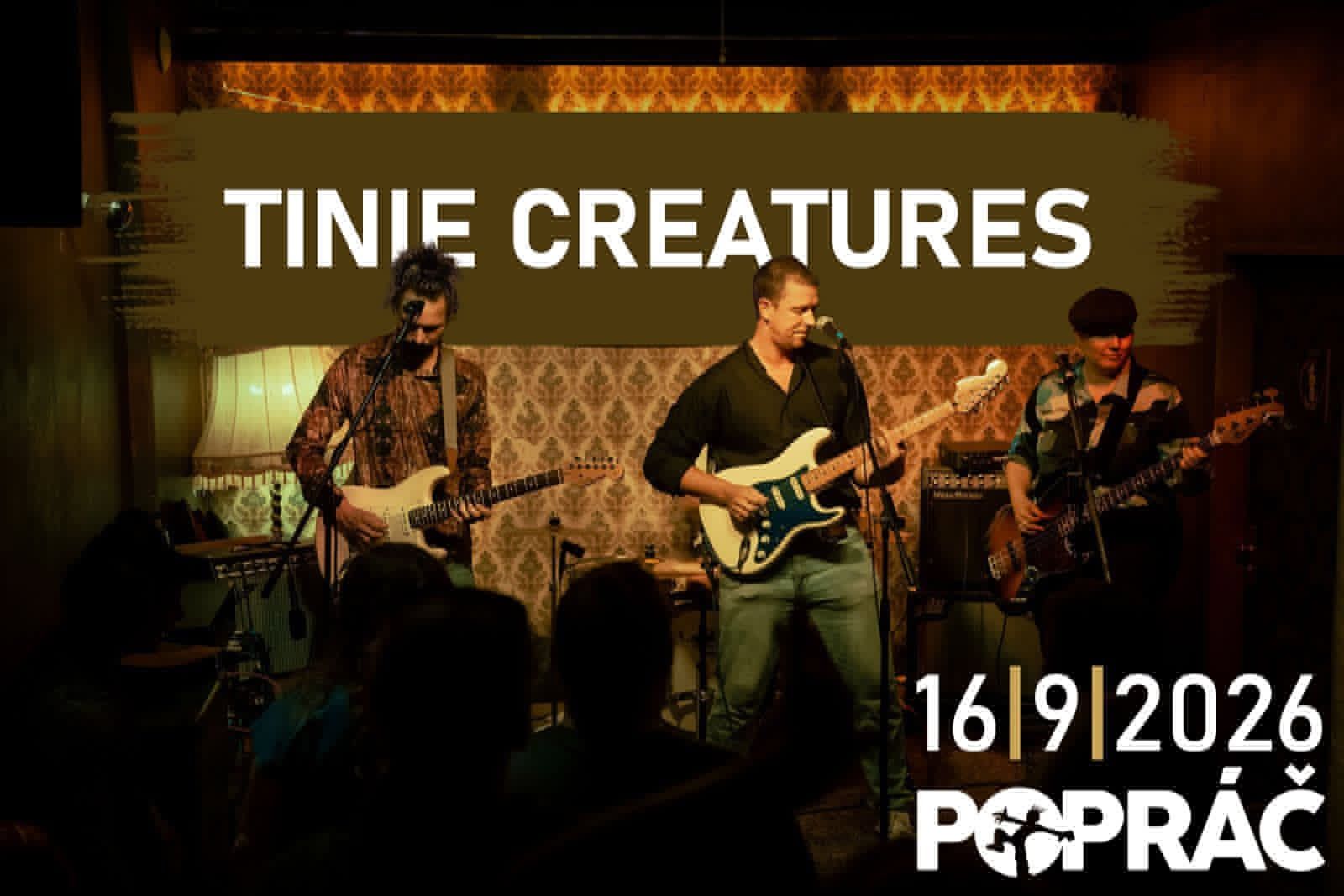 Tinie creatures live