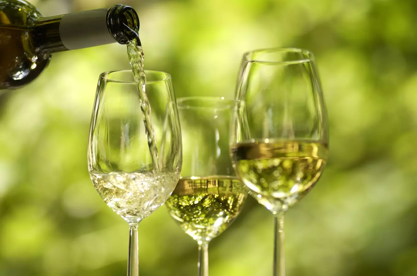 Festival Riesling Rocks 2026